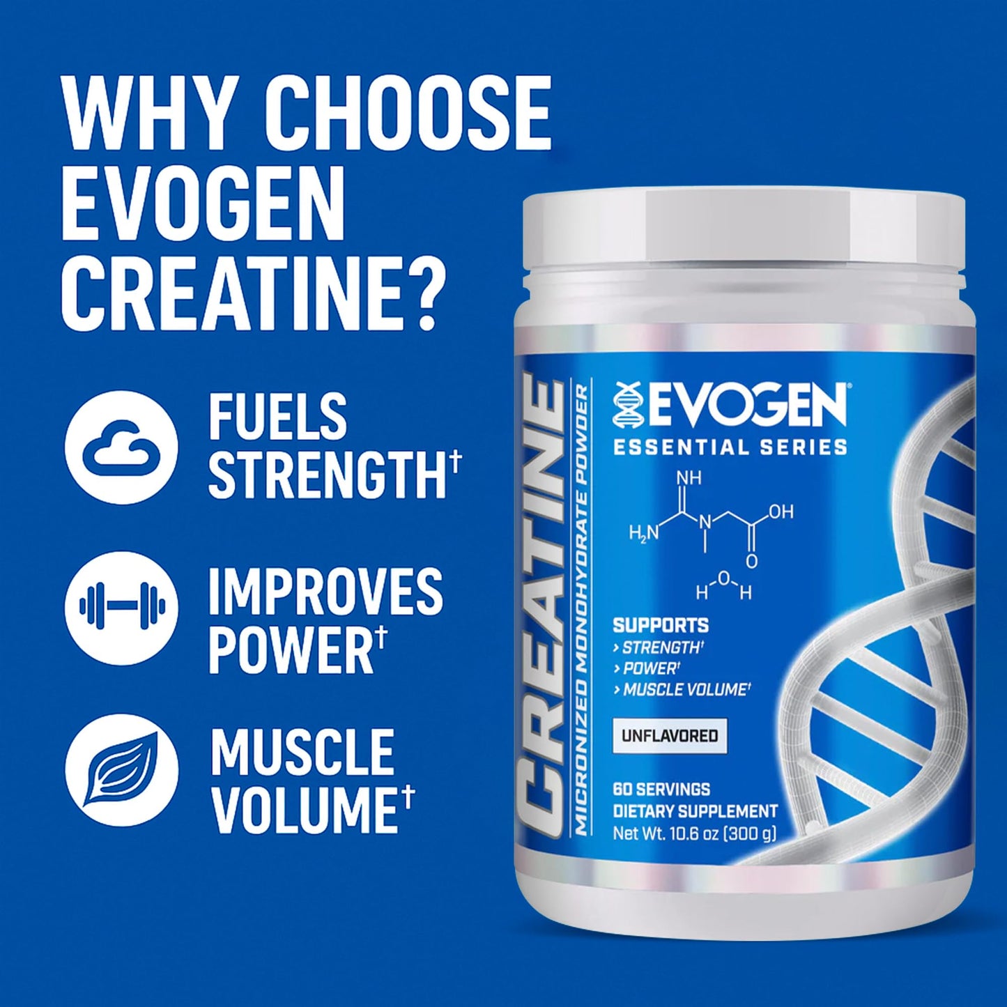Evogen Creatine Monohydrate Powder - Micronized Creatine for Women & Men | Pure Creatine Powder Supplement for Strength, Power & Recovery | Unflavored | 60 Servings